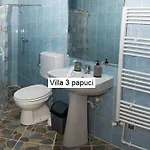 بيت ضيافة 3 Papuci 3*